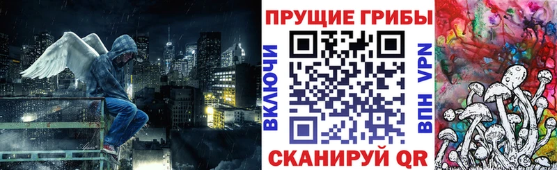 это состав  Вольск  Галлюциногенные грибы MAGIC MUSHROOMS 